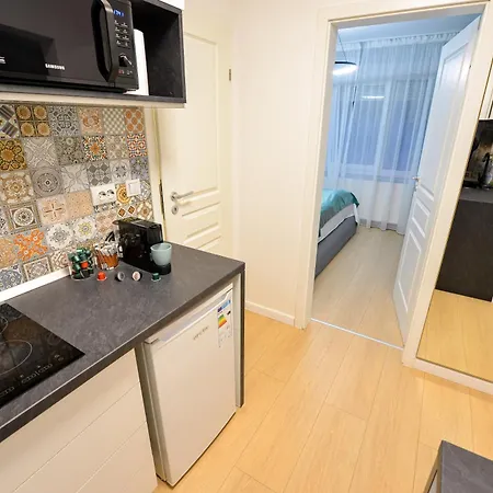 Twin One - One Bedroom - Cismigiu Gardens Appartement *